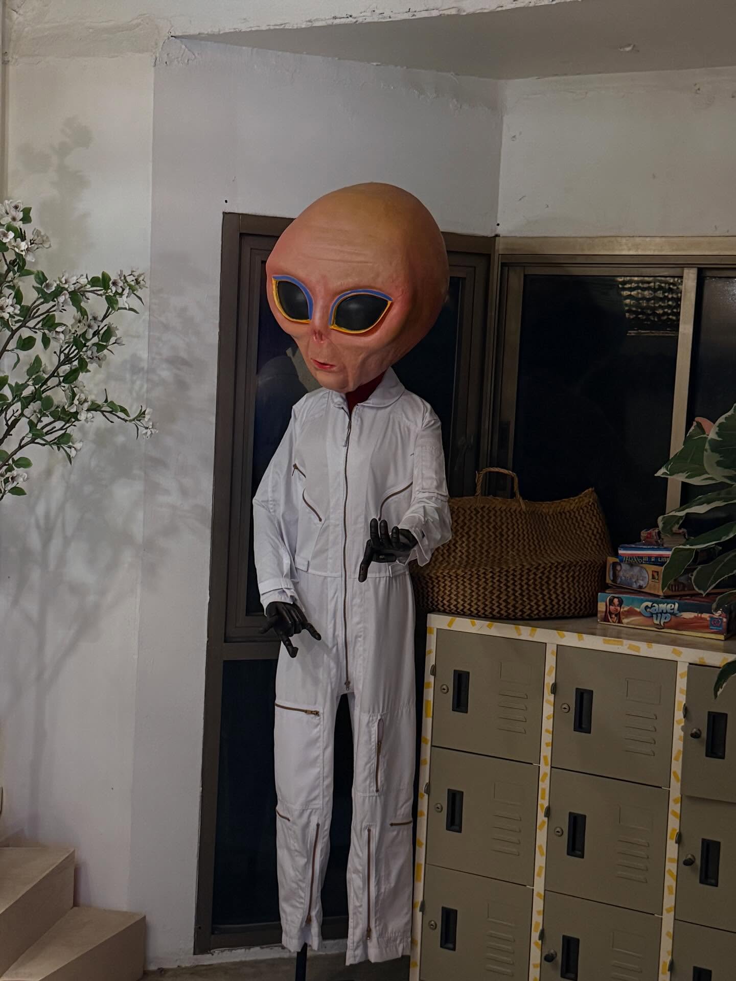 กระทิง - ขุนณรงค์ ประเทศรัตน์