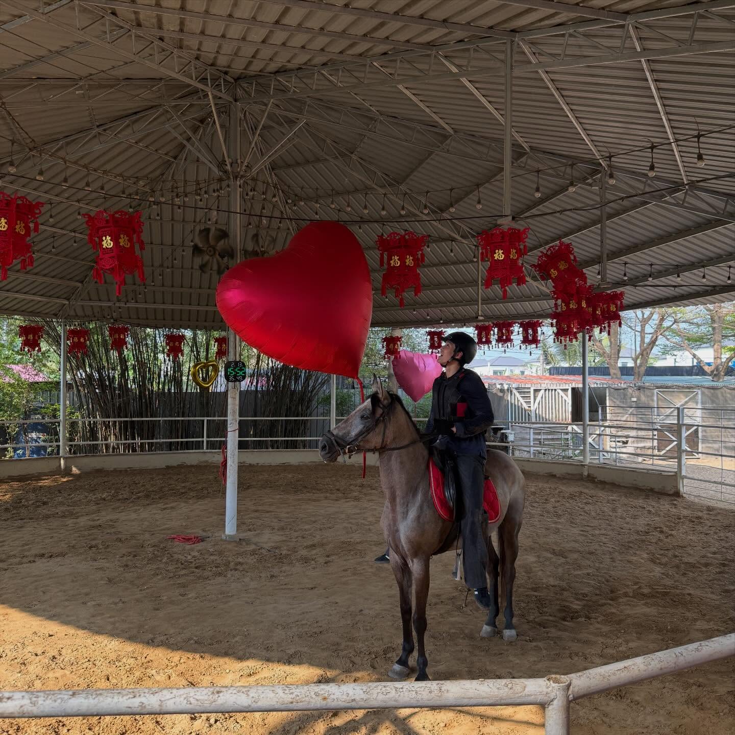 กระทิง - ขุนณรงค์ ประเทศรัตน์