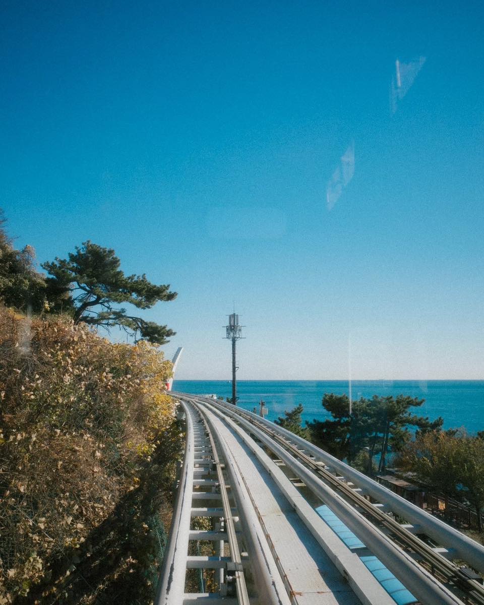 ป๊อบ - ปองกูล สืบซึ้ง