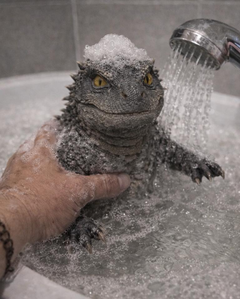 ป๊อบ - ปองกูล สืบซึ้ง