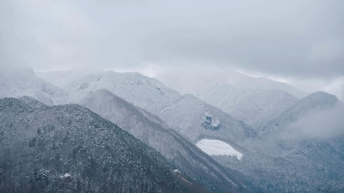 ป๊อบ - ปองกูล สืบซึ้ง