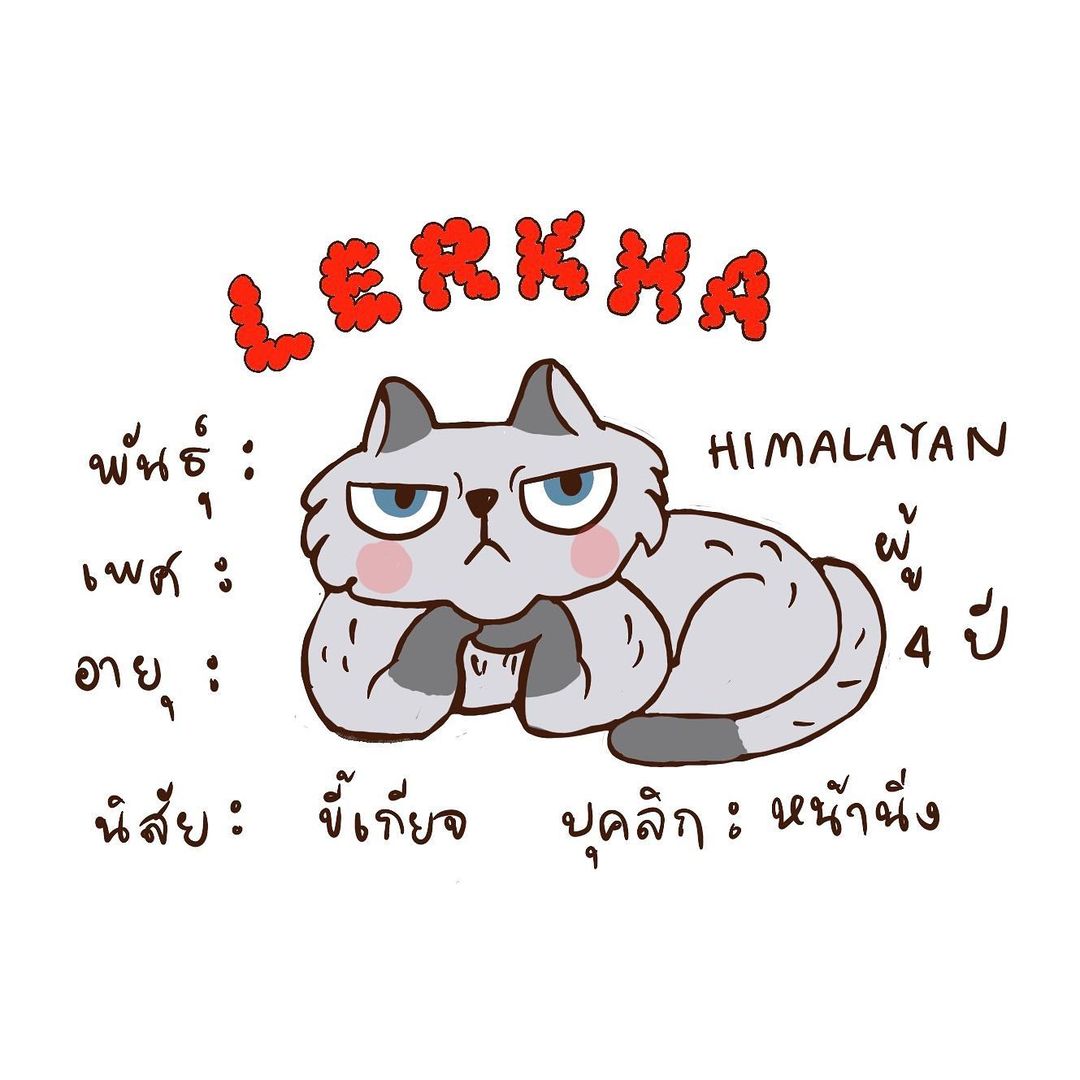 นิว - นภัสสร ภูธรใจ