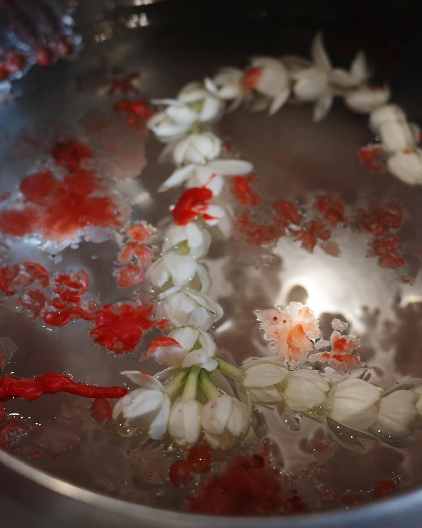 นิว - นภัสสร ภูธรใจ