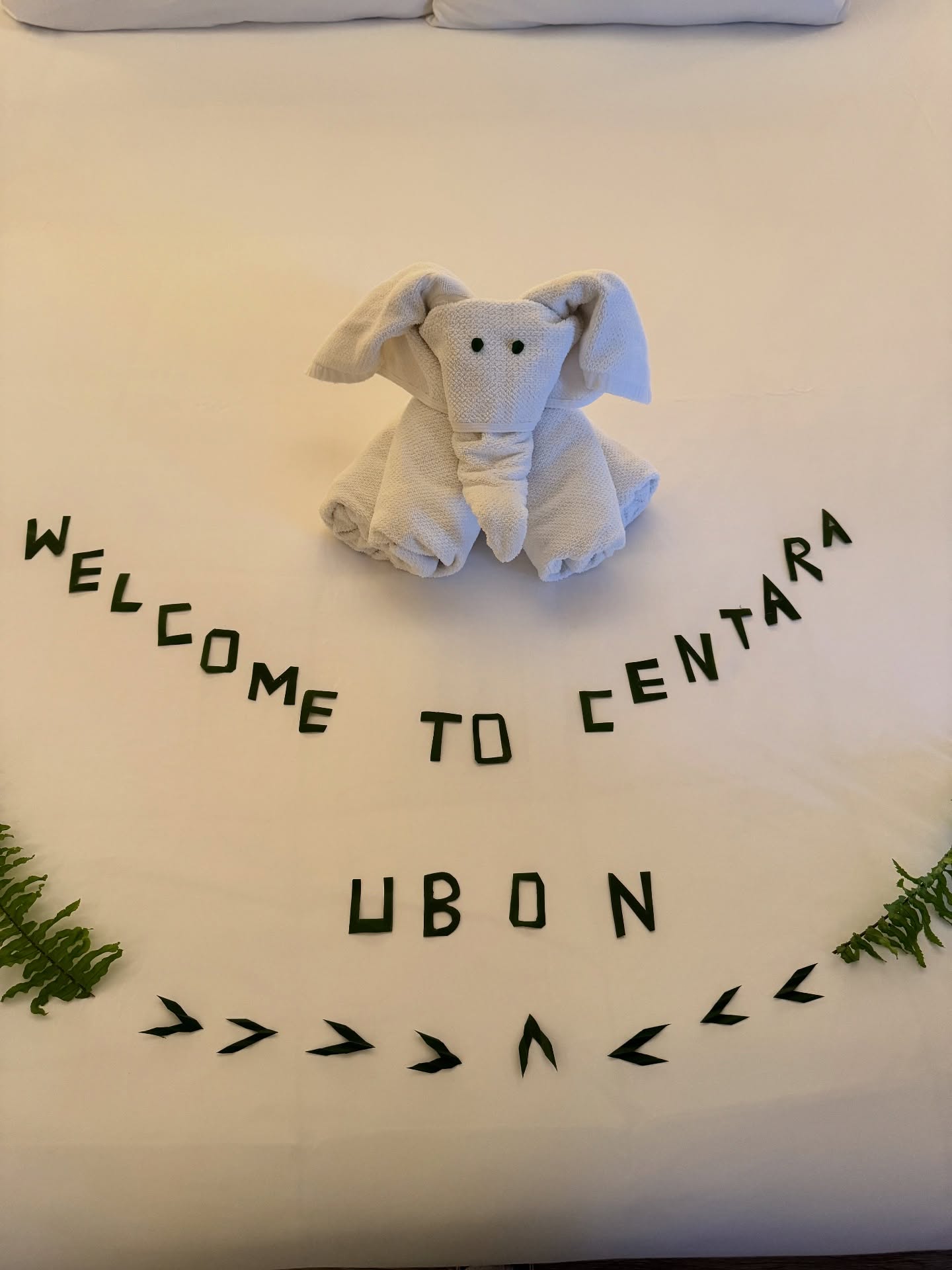 นิว - นภัสสร ภูธรใจ