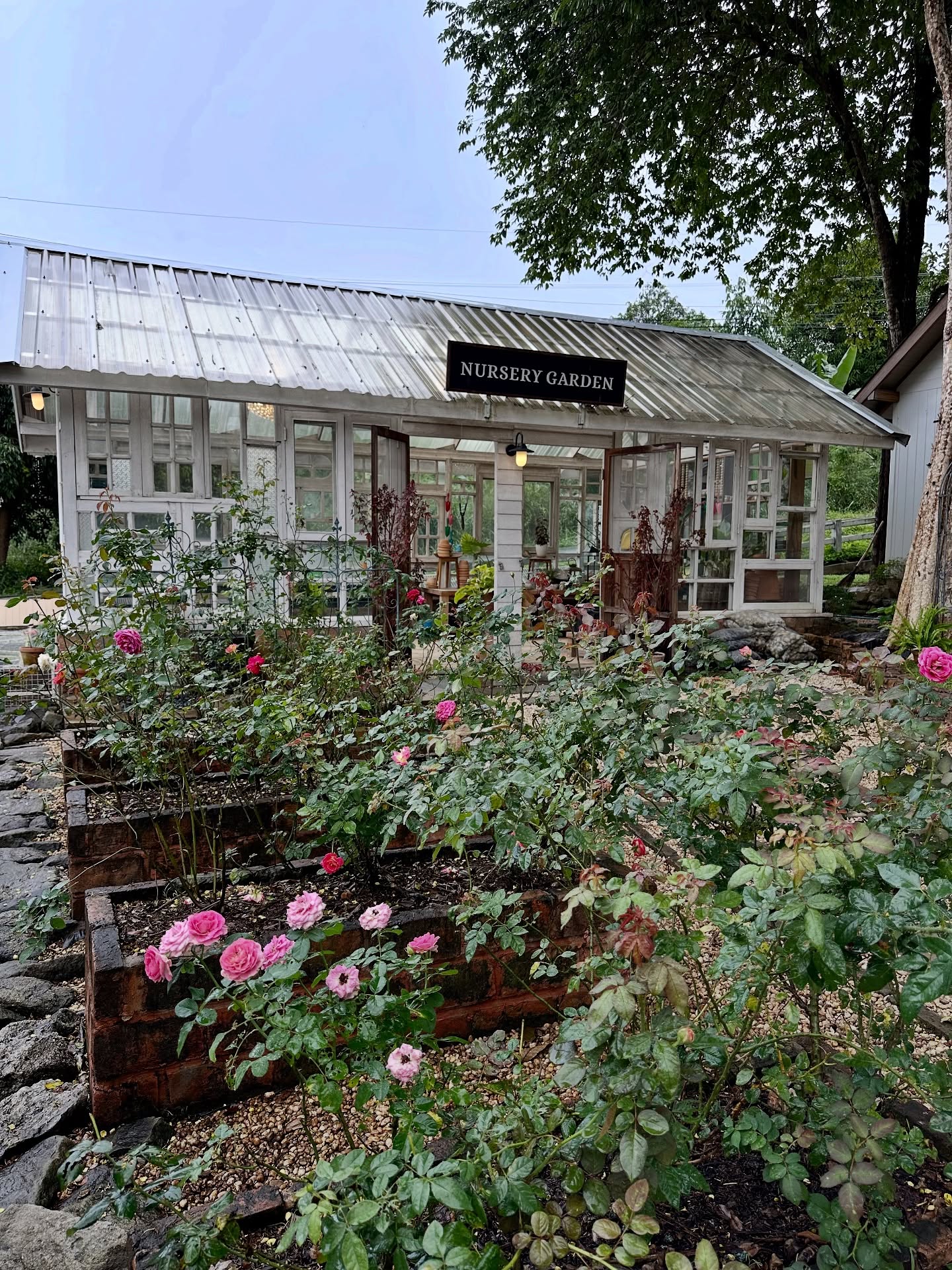 นิว - นภัสสร ภูธรใจ