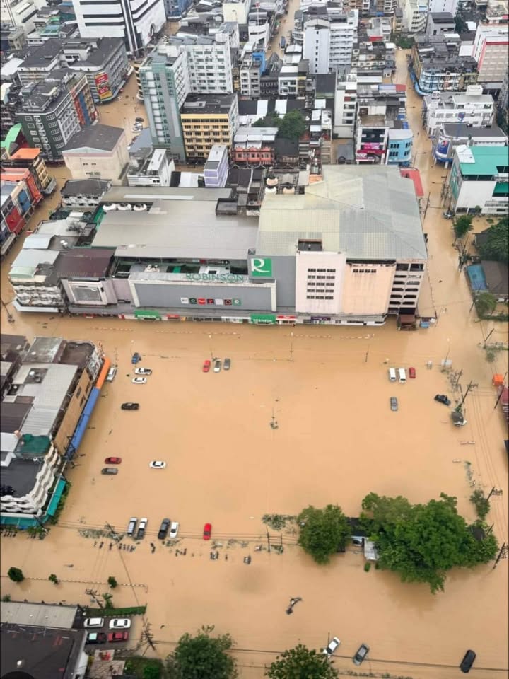 นิว - นภัสสร ภูธรใจ