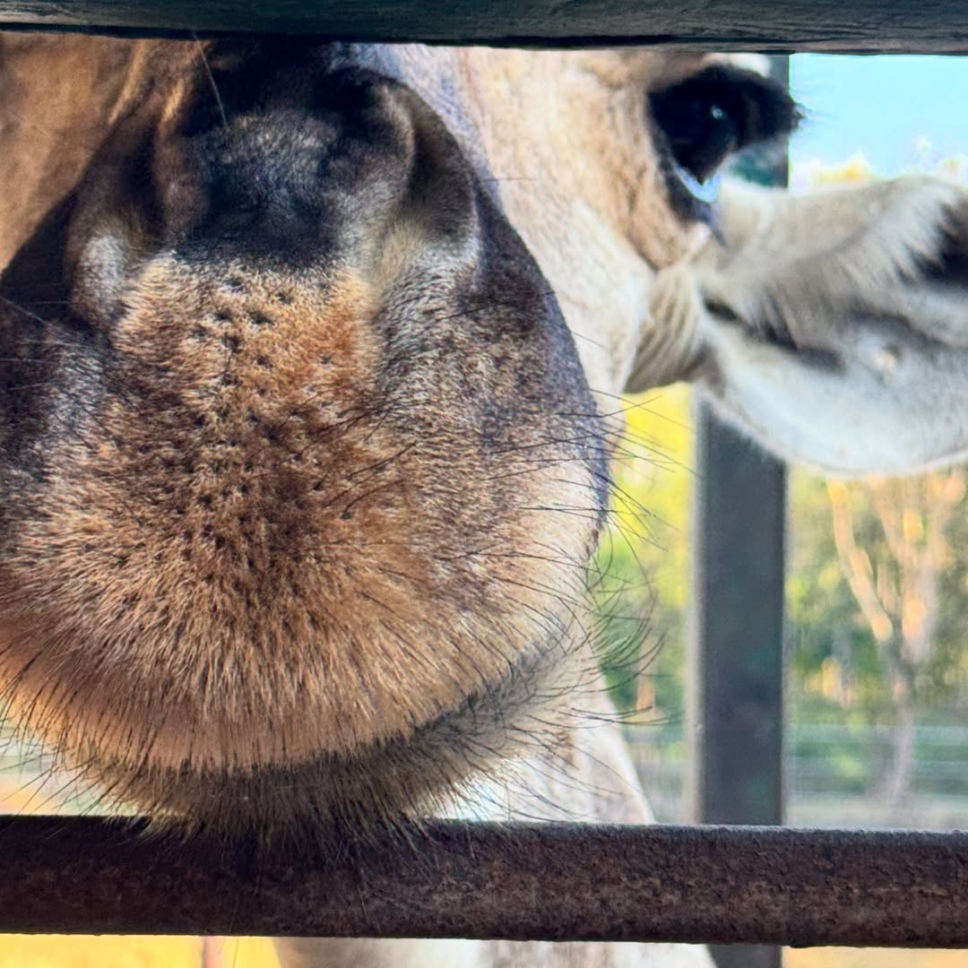 นิว - นภัสสร ภูธรใจ