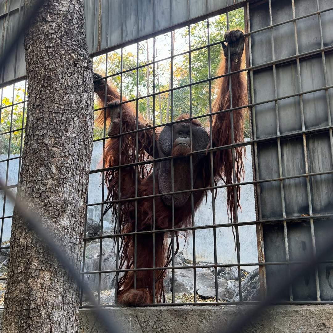นิว - นภัสสร ภูธรใจ