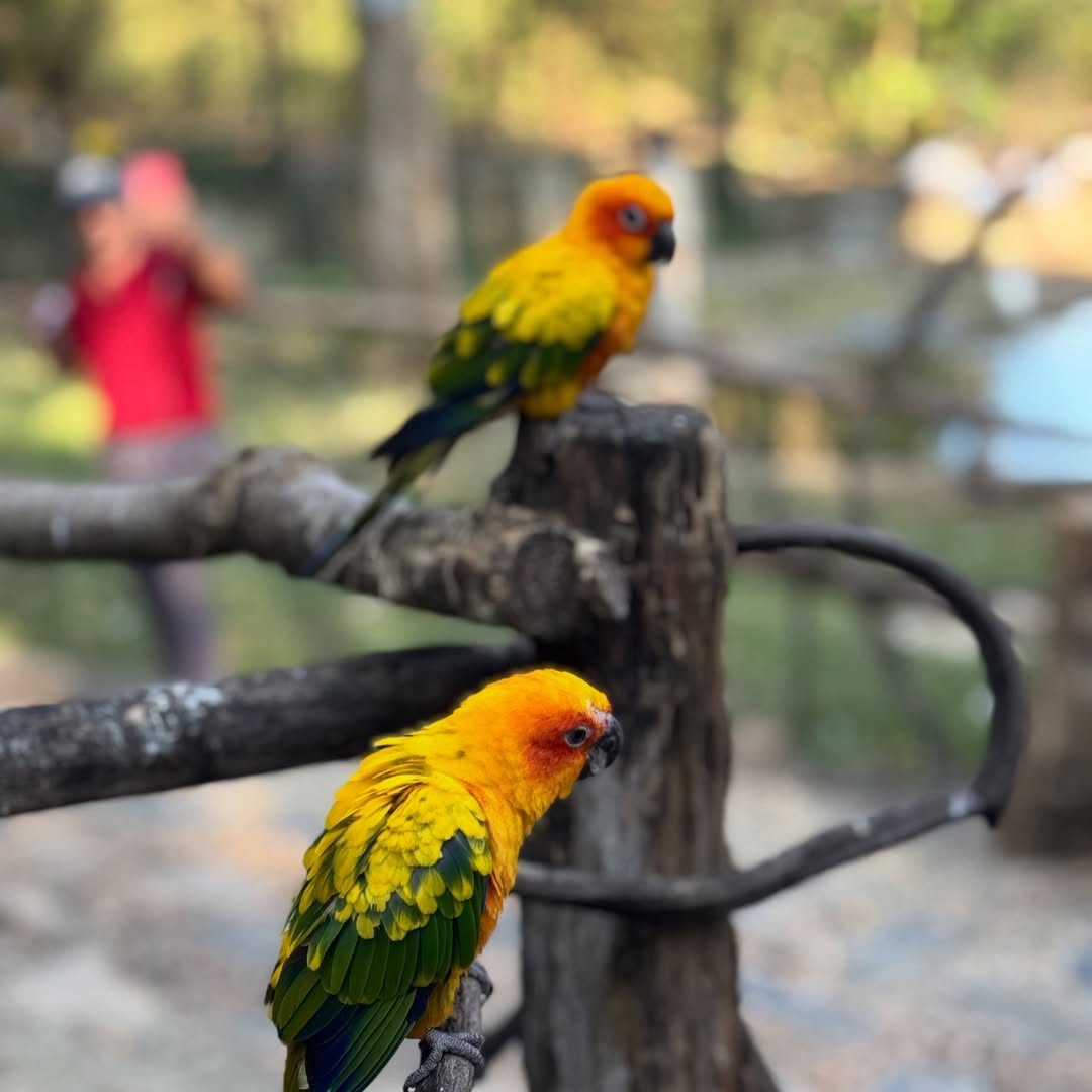 นิว - นภัสสร ภูธรใจ