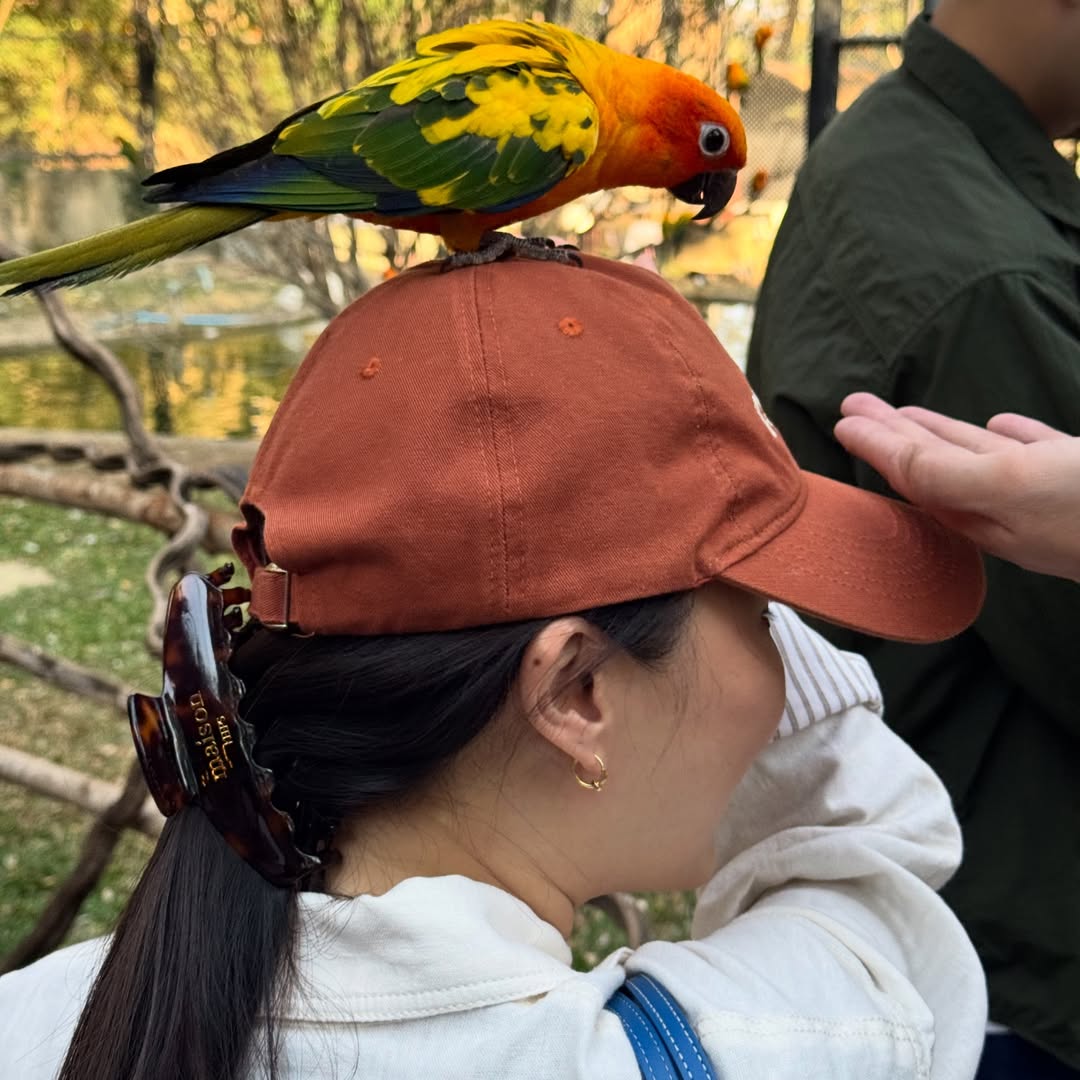 นิว - นภัสสร ภูธรใจ