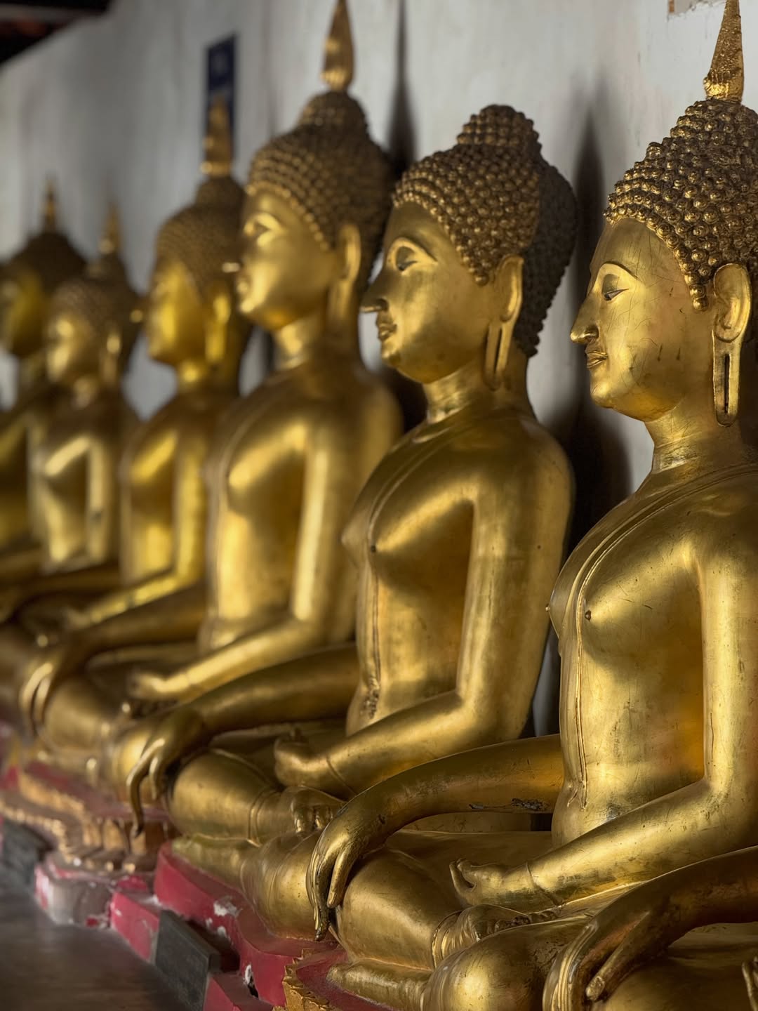 นิว - นภัสสร ภูธรใจ