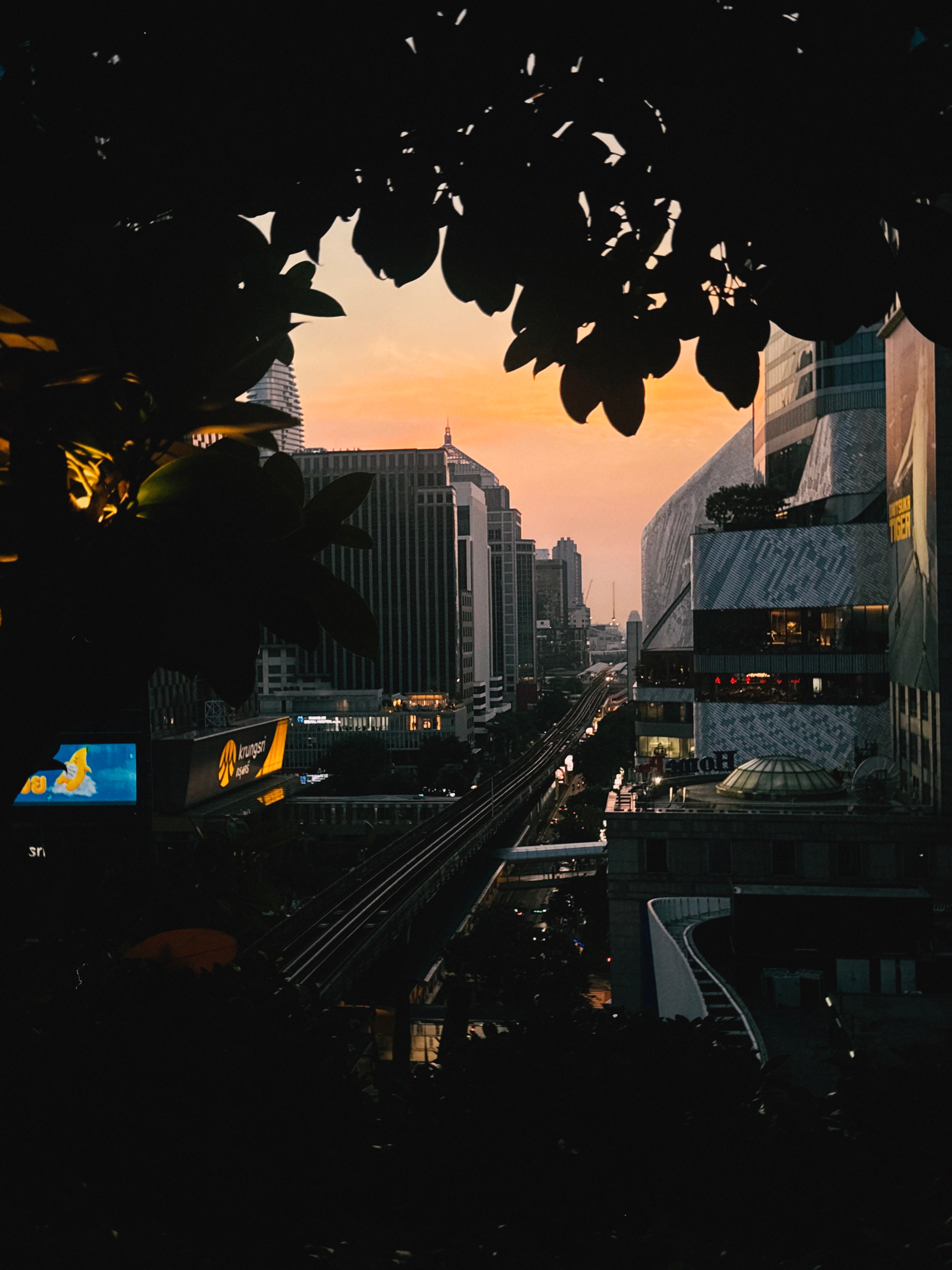 นิว - นภัสสร ภูธรใจ
