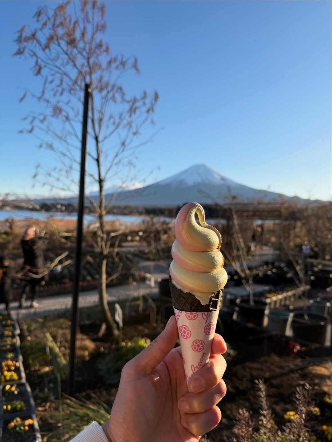 ท็อป - จรณ โสรัตน์