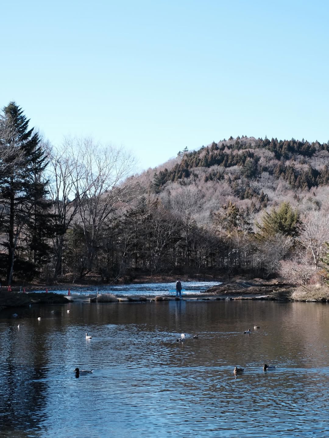 ท็อป - จรณ โสรัตน์