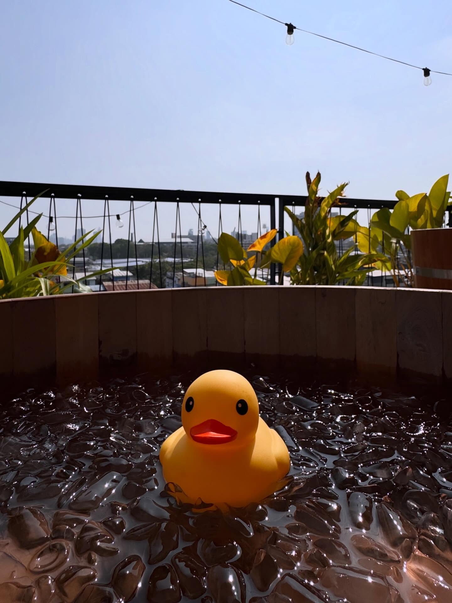 ท็อป - จรณ โสรัตน์