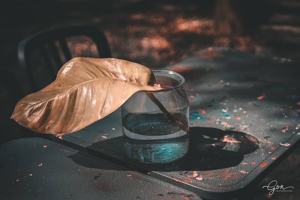 ตุ๊ก - ชนกวนันท์ รักชีพ