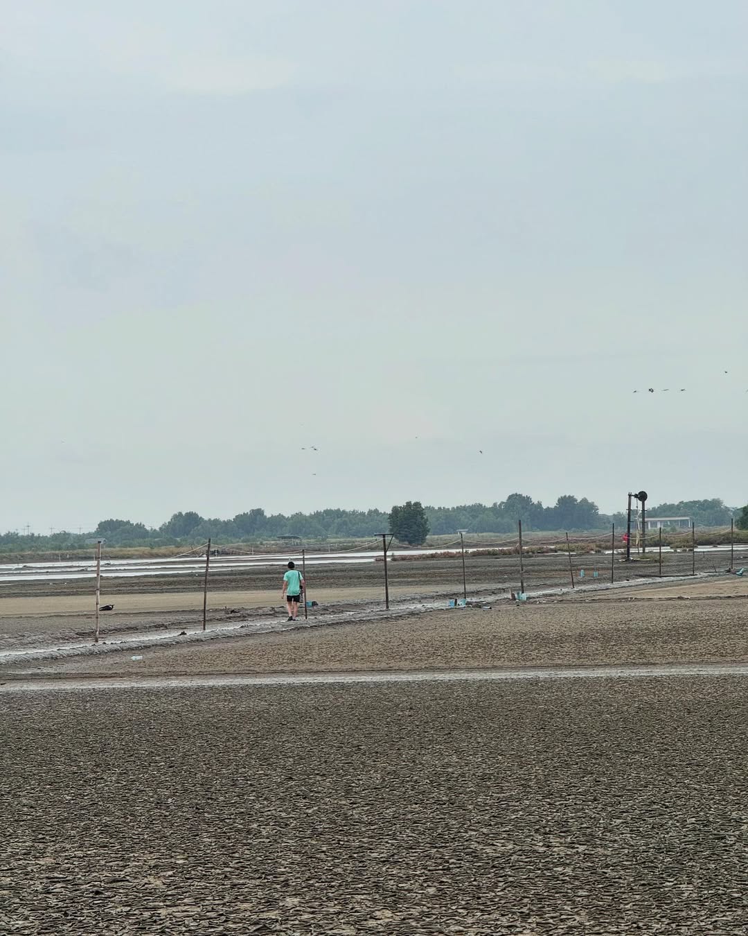 ตุ๊ก - ชนกวนันท์ รักชีพ