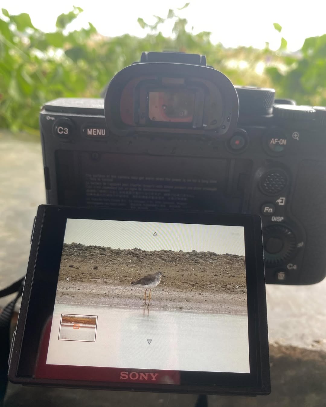 ตุ๊ก - ชนกวนันท์ รักชีพ