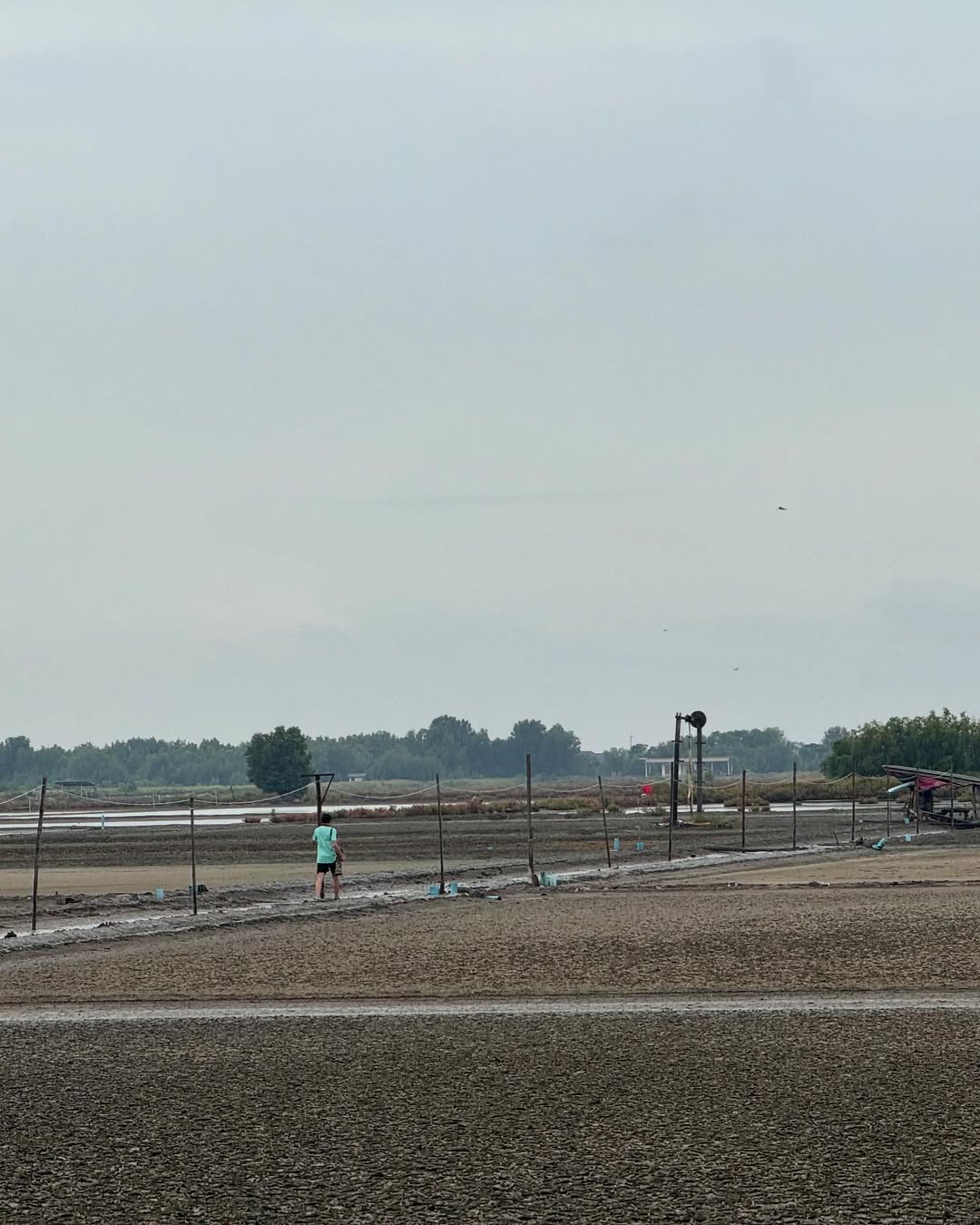 ตุ๊ก - ชนกวนันท์ รักชีพ