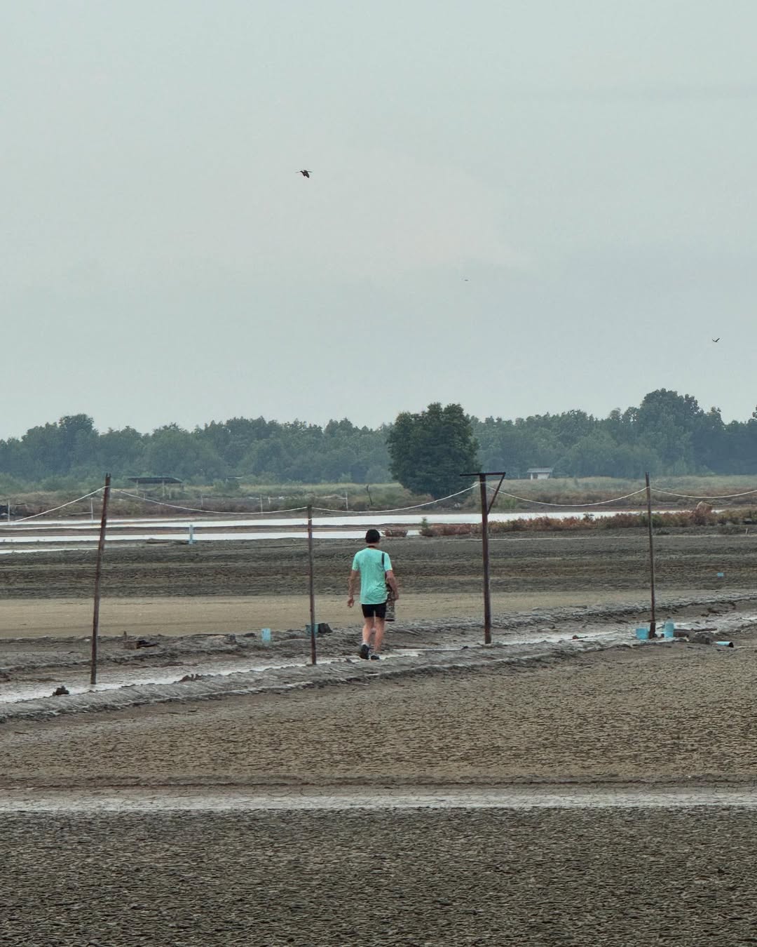 ตุ๊ก - ชนกวนันท์ รักชีพ
