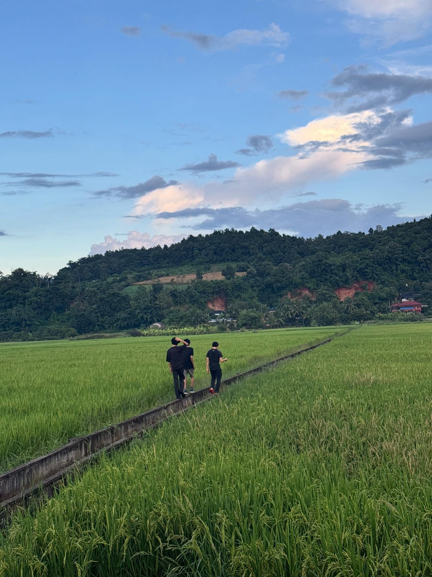 ตุ๊ก - ชนกวนันท์ รักชีพ