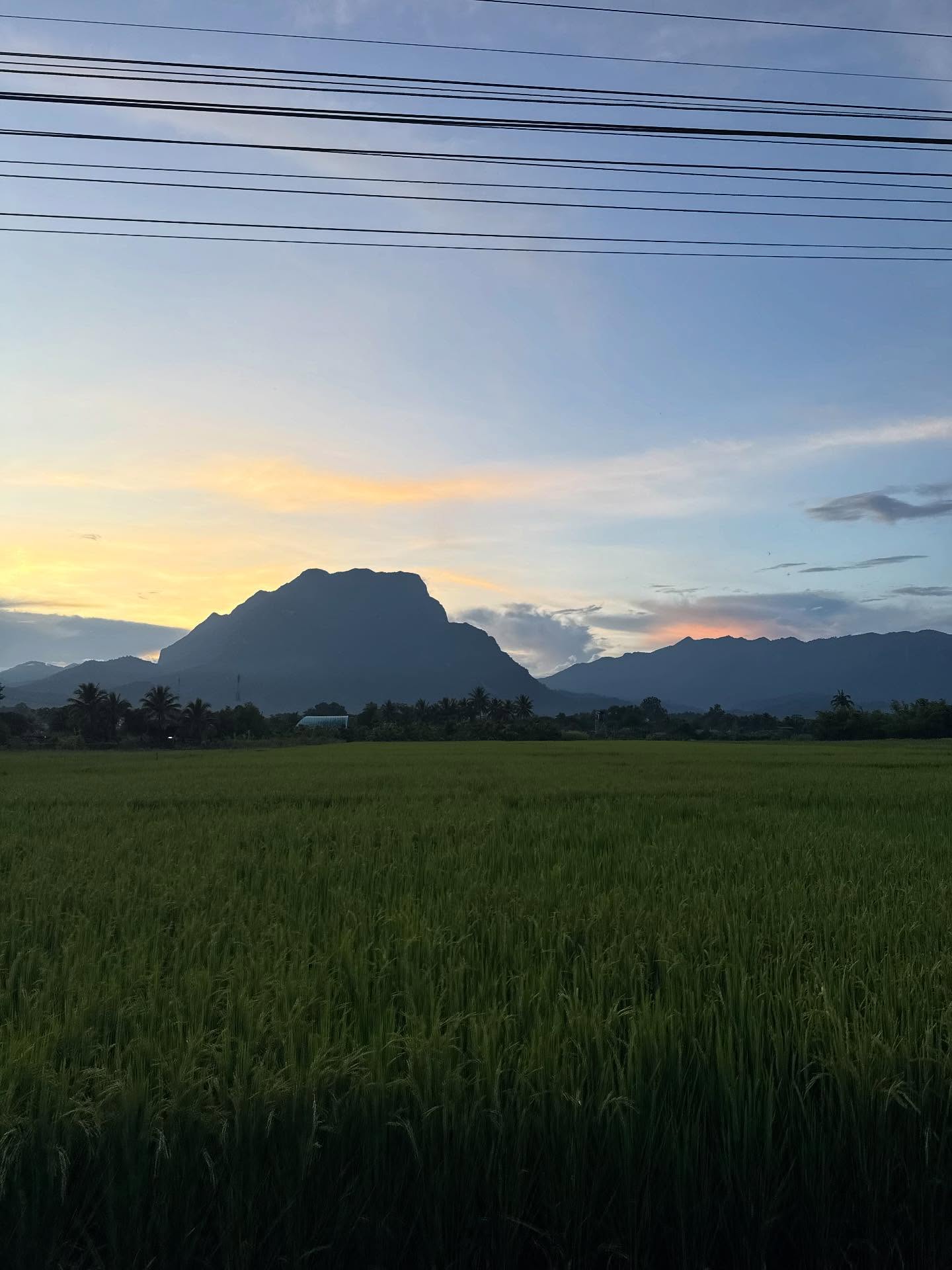 ตุ๊ก - ชนกวนันท์ รักชีพ
