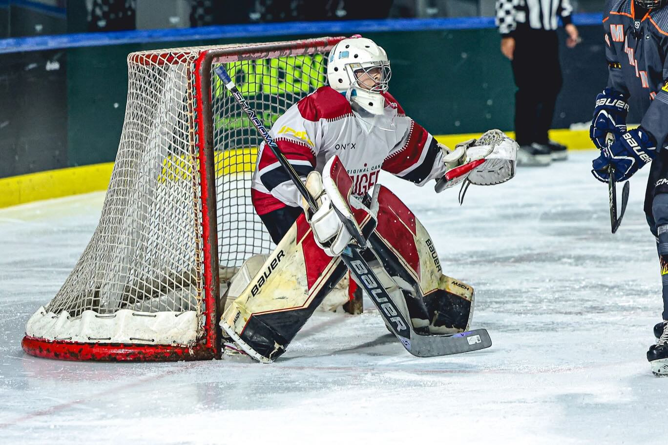 ตุ๊ก - ชนกวนันท์ รักชีพ