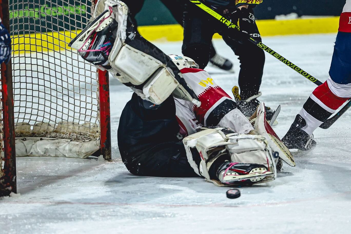 ตุ๊ก - ชนกวนันท์ รักชีพ