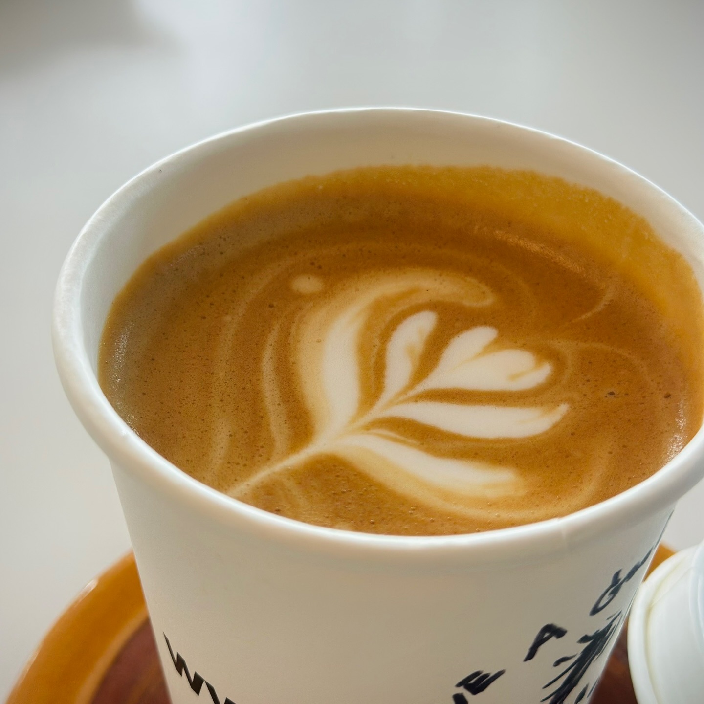 ตุ๊ก - ชนกวนันท์ รักชีพ