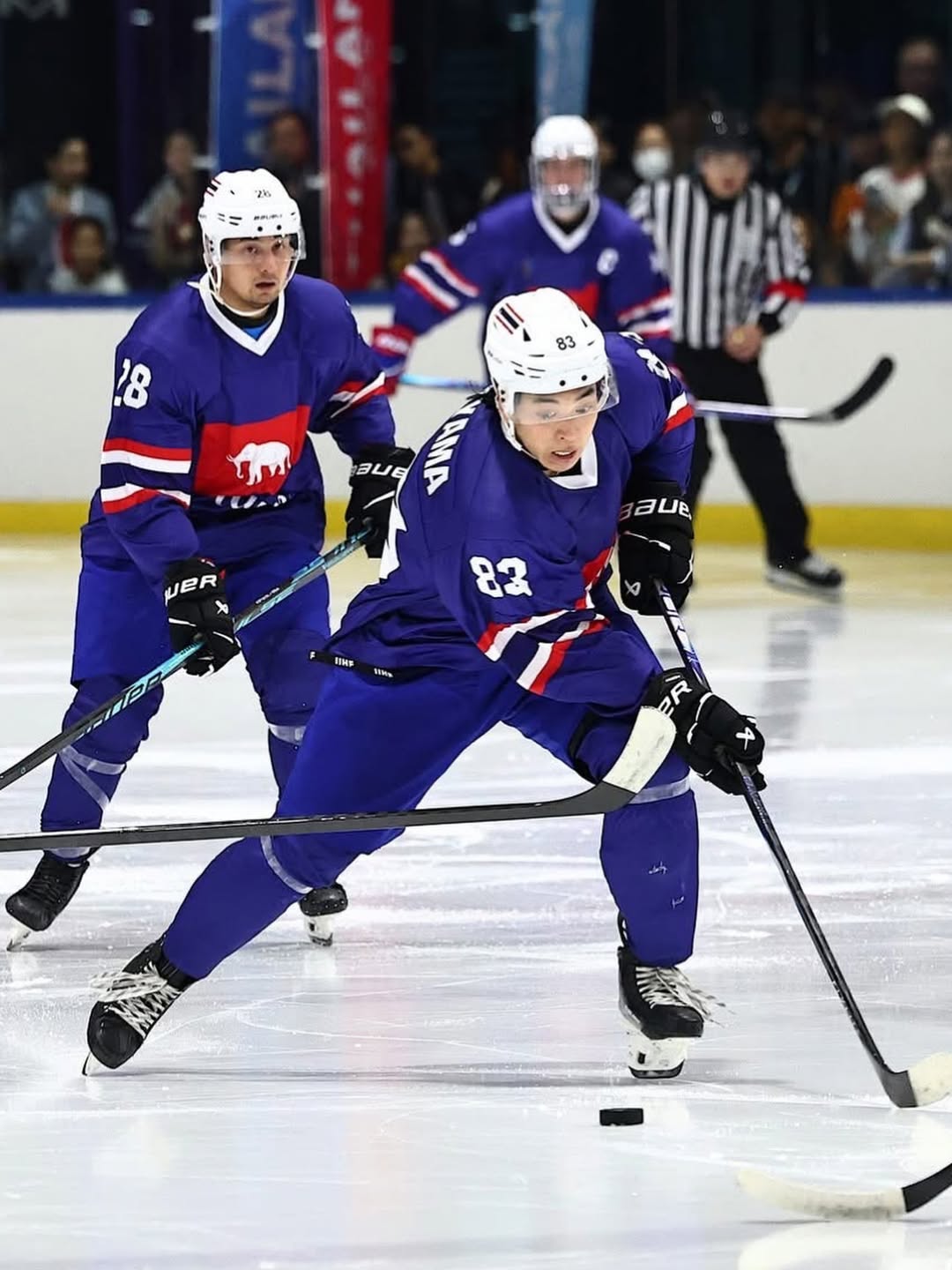 ตุ๊ก - ชนกวนันท์ รักชีพ