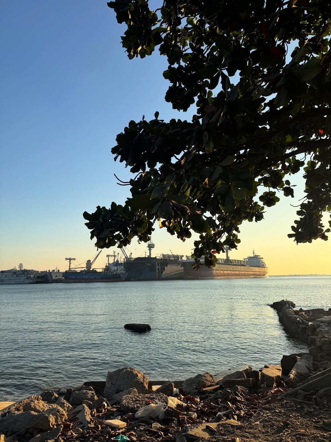 ตุ๊ก - ชนกวนันท์ รักชีพ