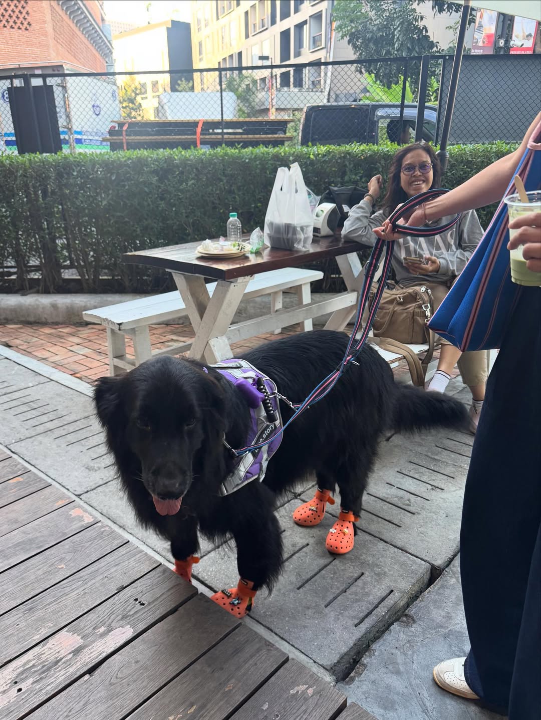 ตุ๊ก - ชนกวนันท์ รักชีพ