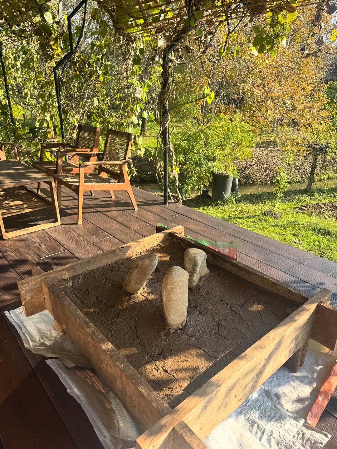 ตุ๊ก - ชนกวนันท์ รักชีพ