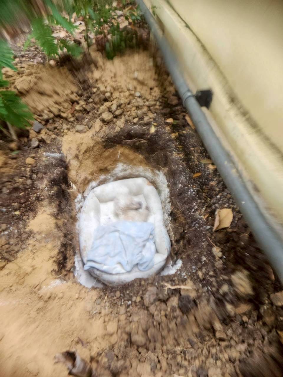 ตุ๊ก - ชนกวนันท์ รักชีพ