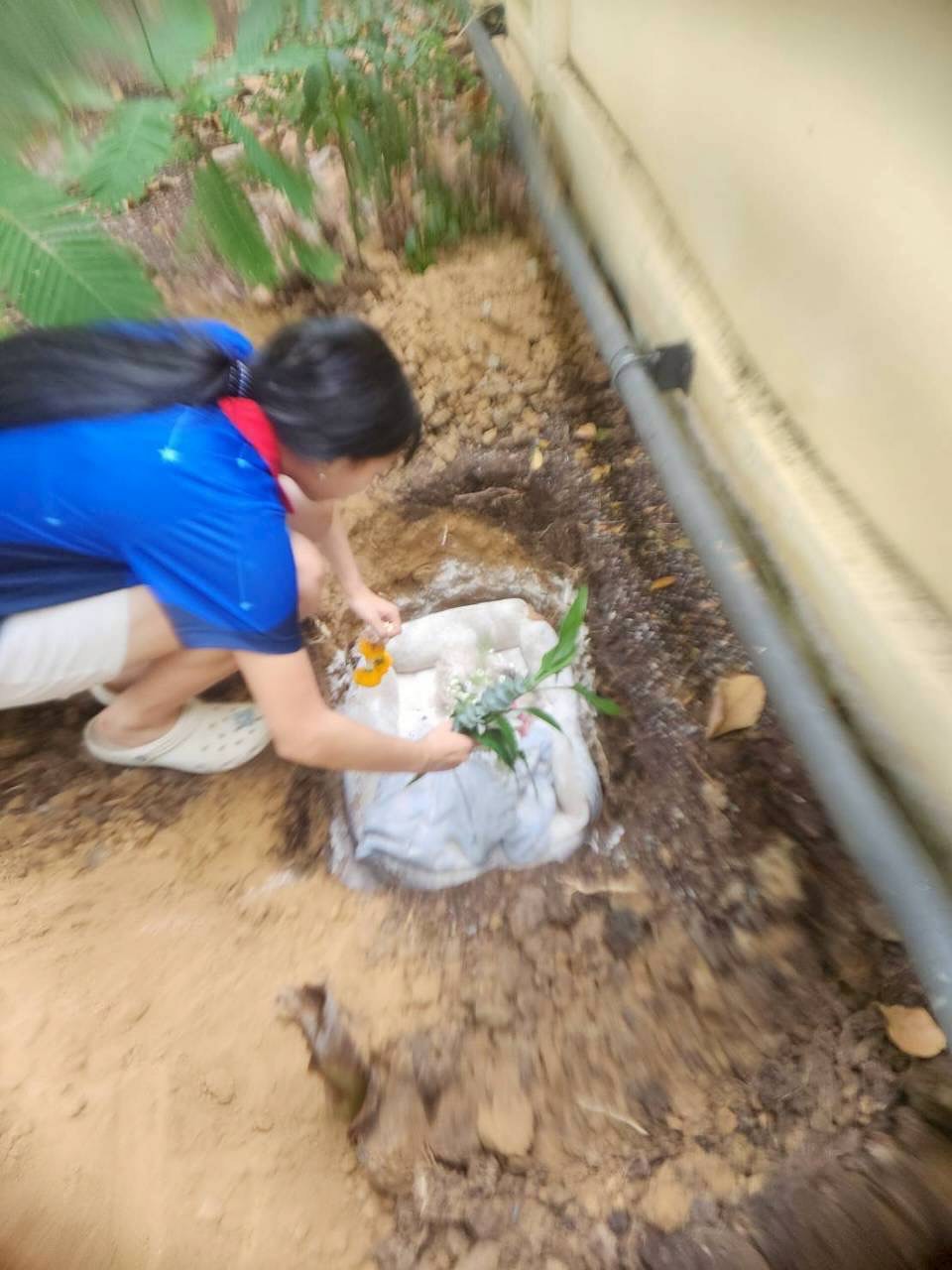 ตุ๊ก - ชนกวนันท์ รักชีพ