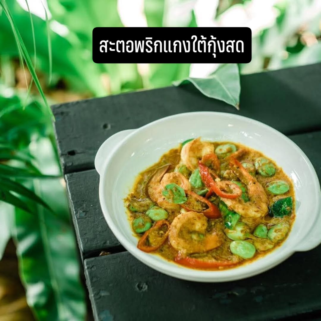 ตุ๊ก - ชนกวนันท์ รักชีพ