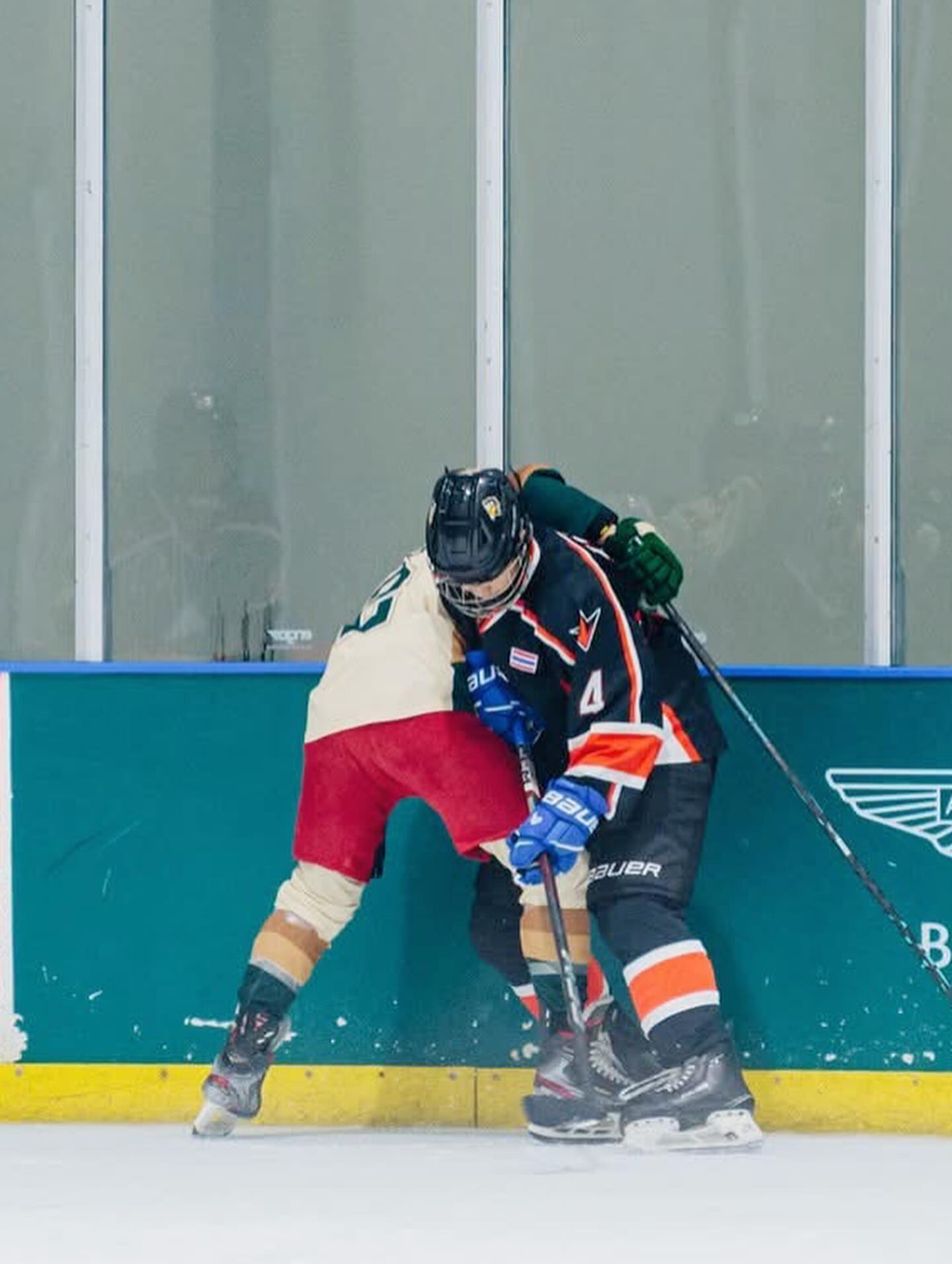 ตุ๊ก - ชนกวนันท์ รักชีพ