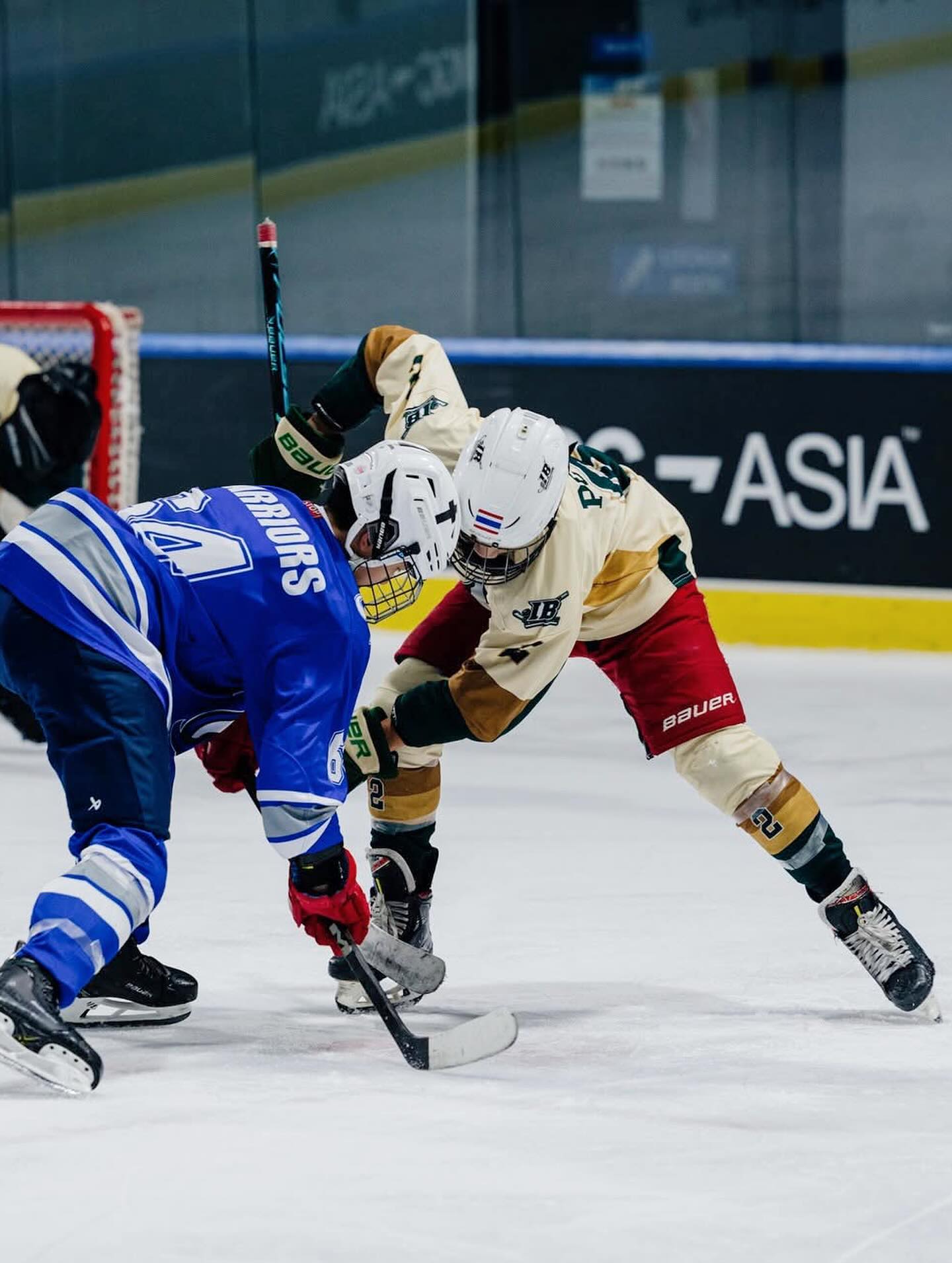 ตุ๊ก - ชนกวนันท์ รักชีพ