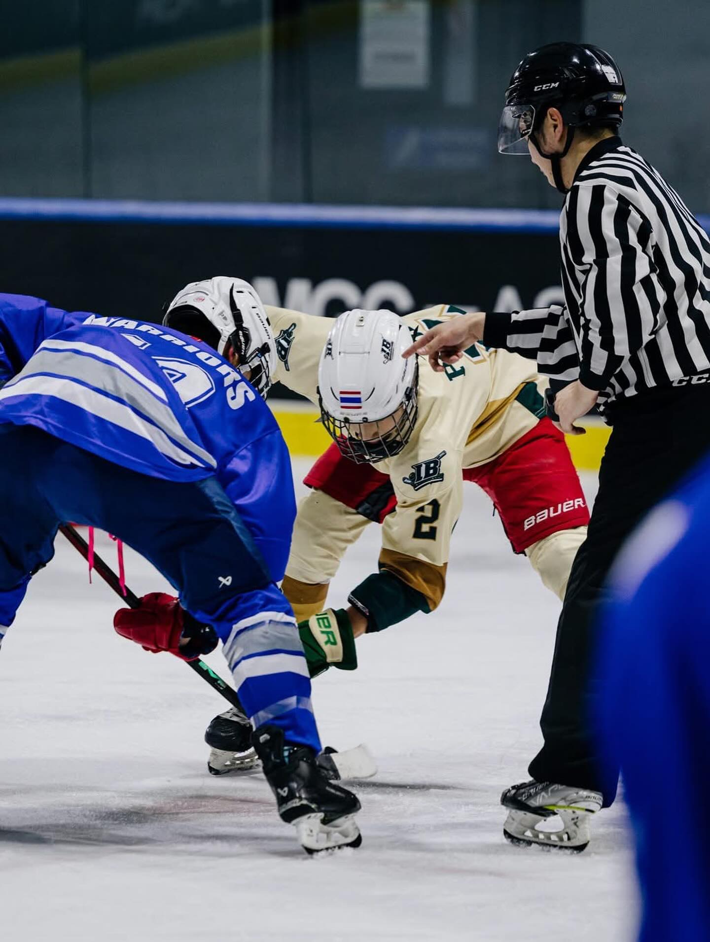 ตุ๊ก - ชนกวนันท์ รักชีพ