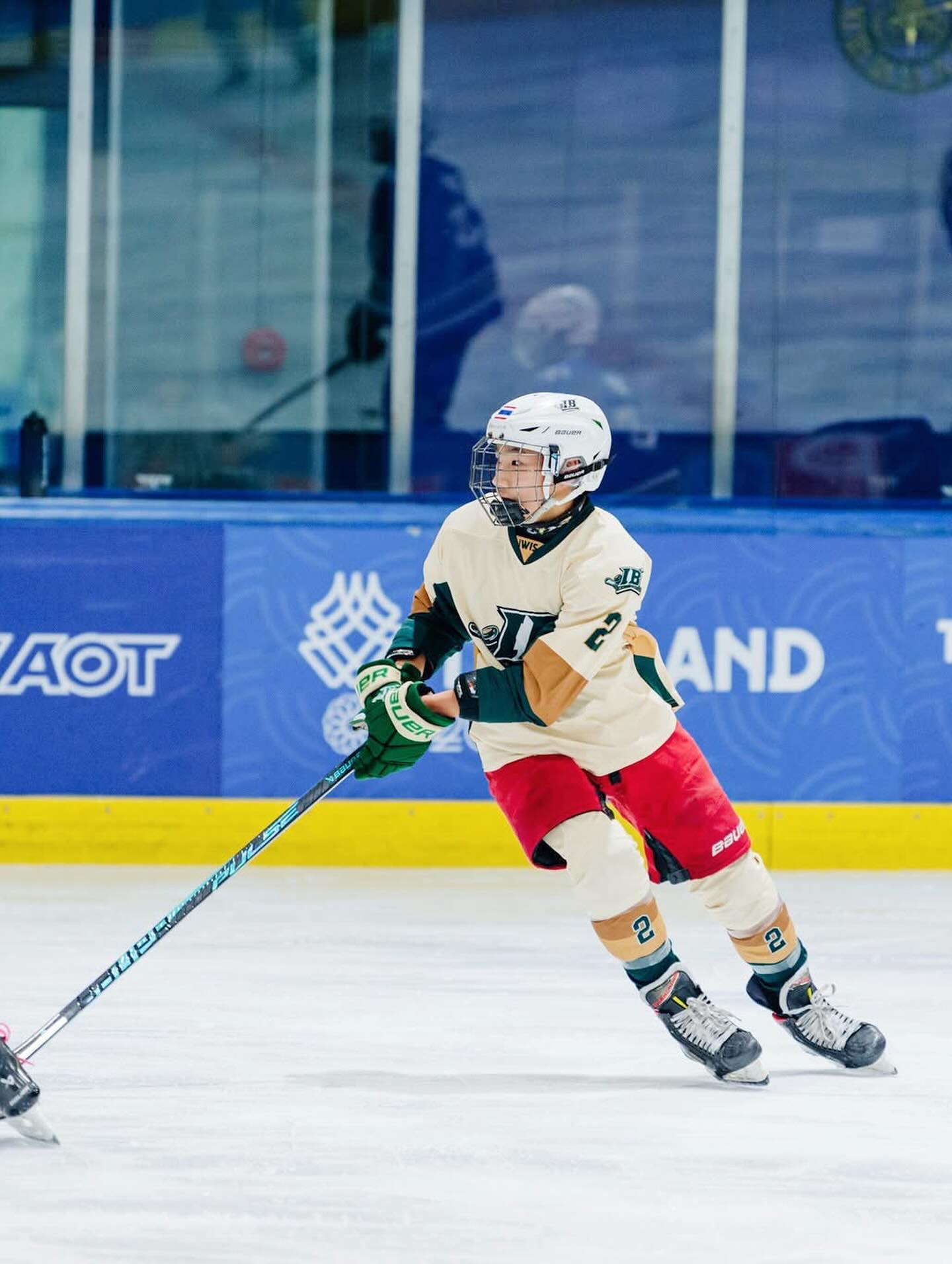 ตุ๊ก - ชนกวนันท์ รักชีพ