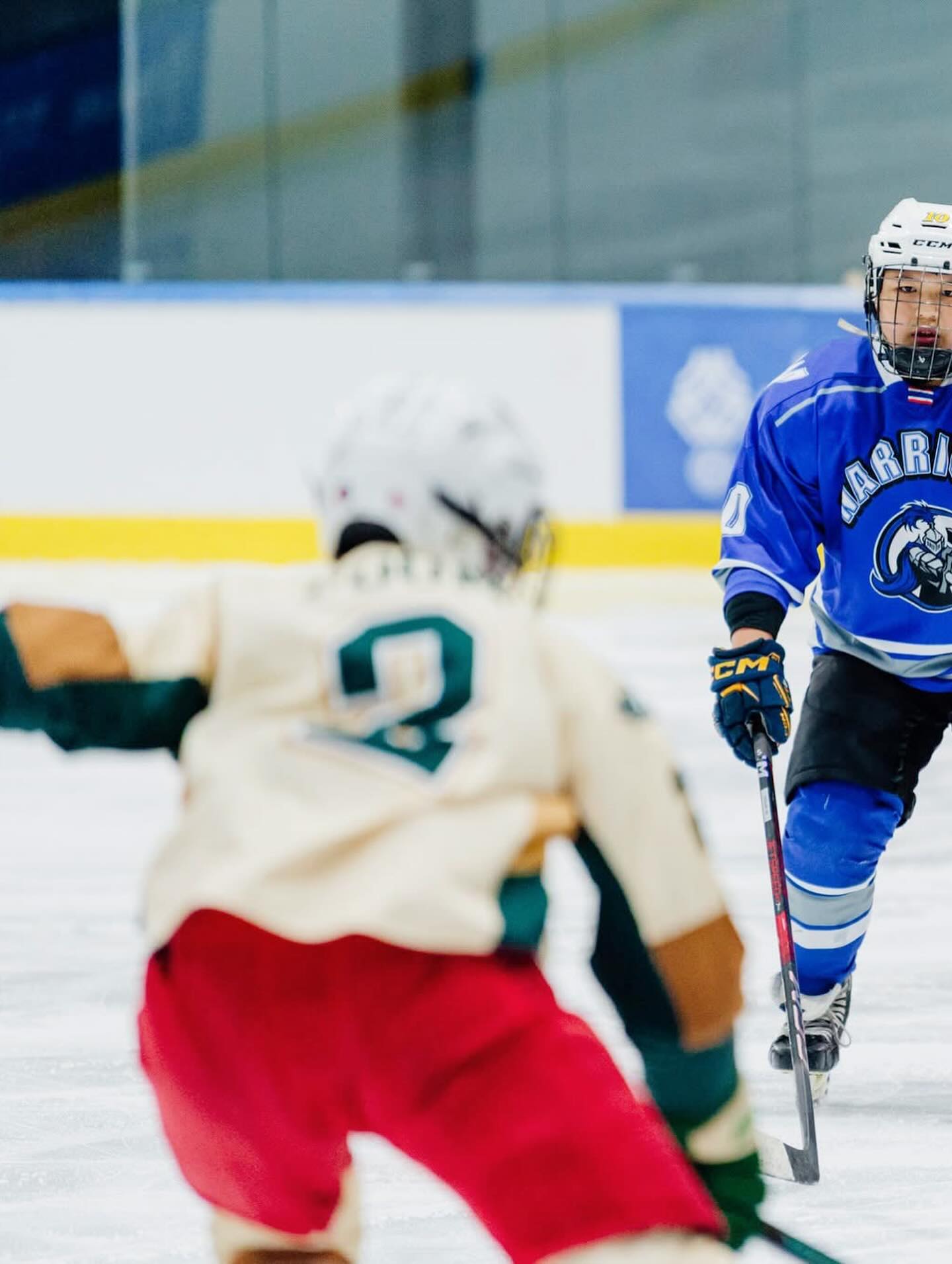 ตุ๊ก - ชนกวนันท์ รักชีพ