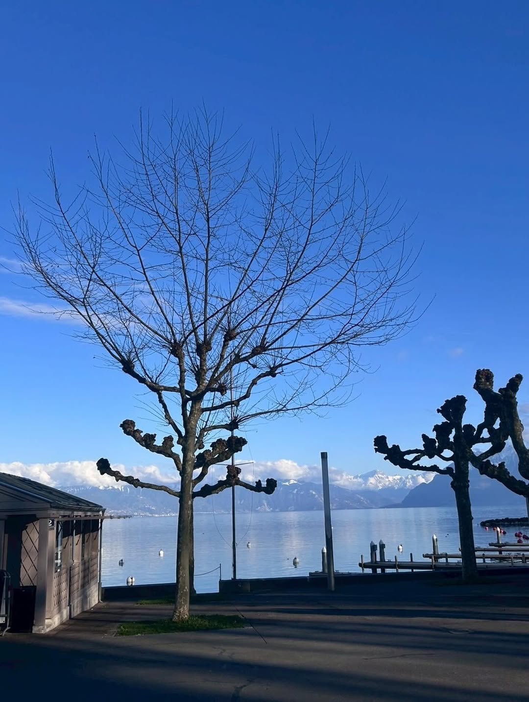 ตุ๊ก - ชนกวนันท์ รักชีพ