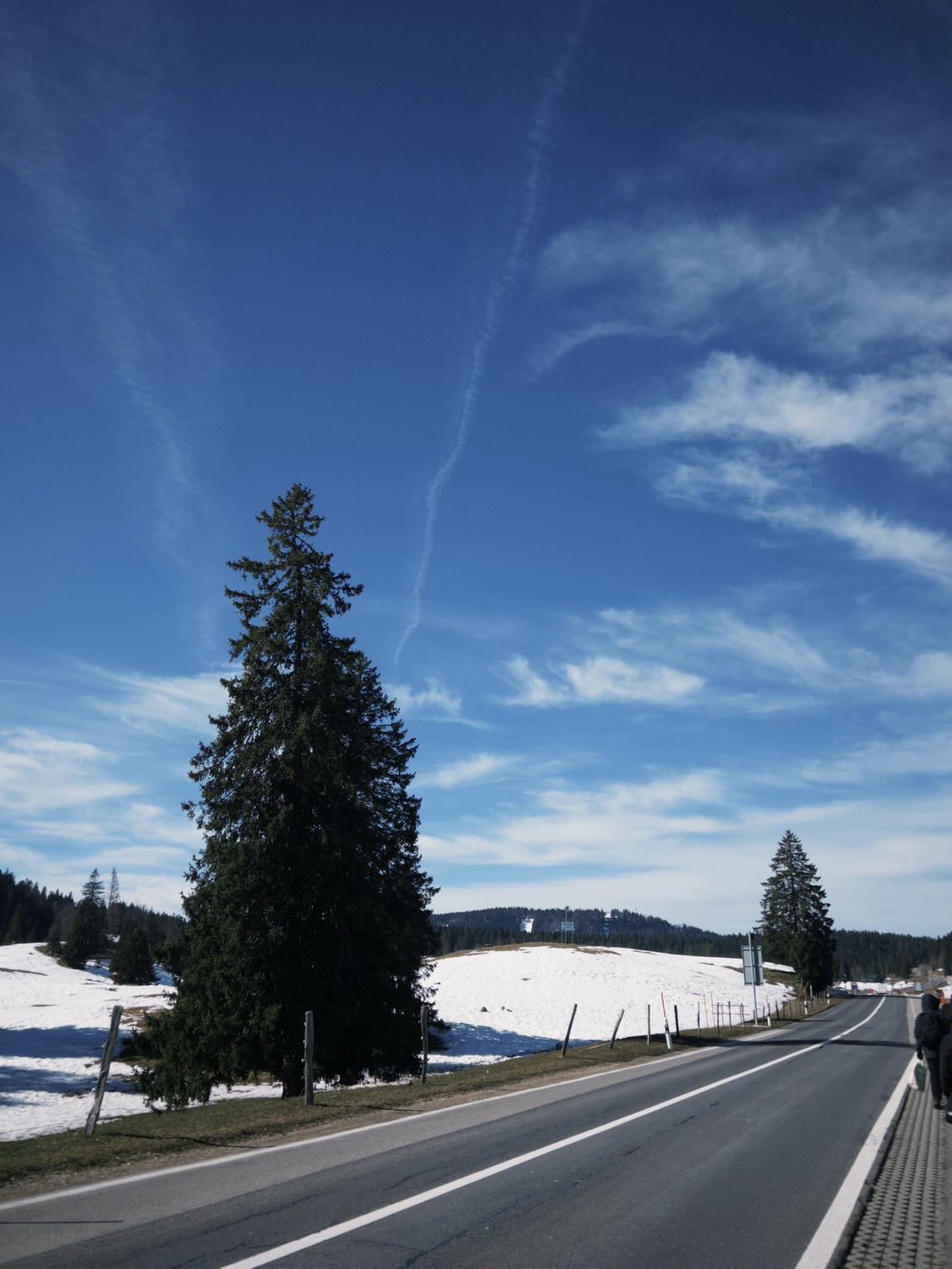 ตุ๊ก - ชนกวนันท์ รักชีพ