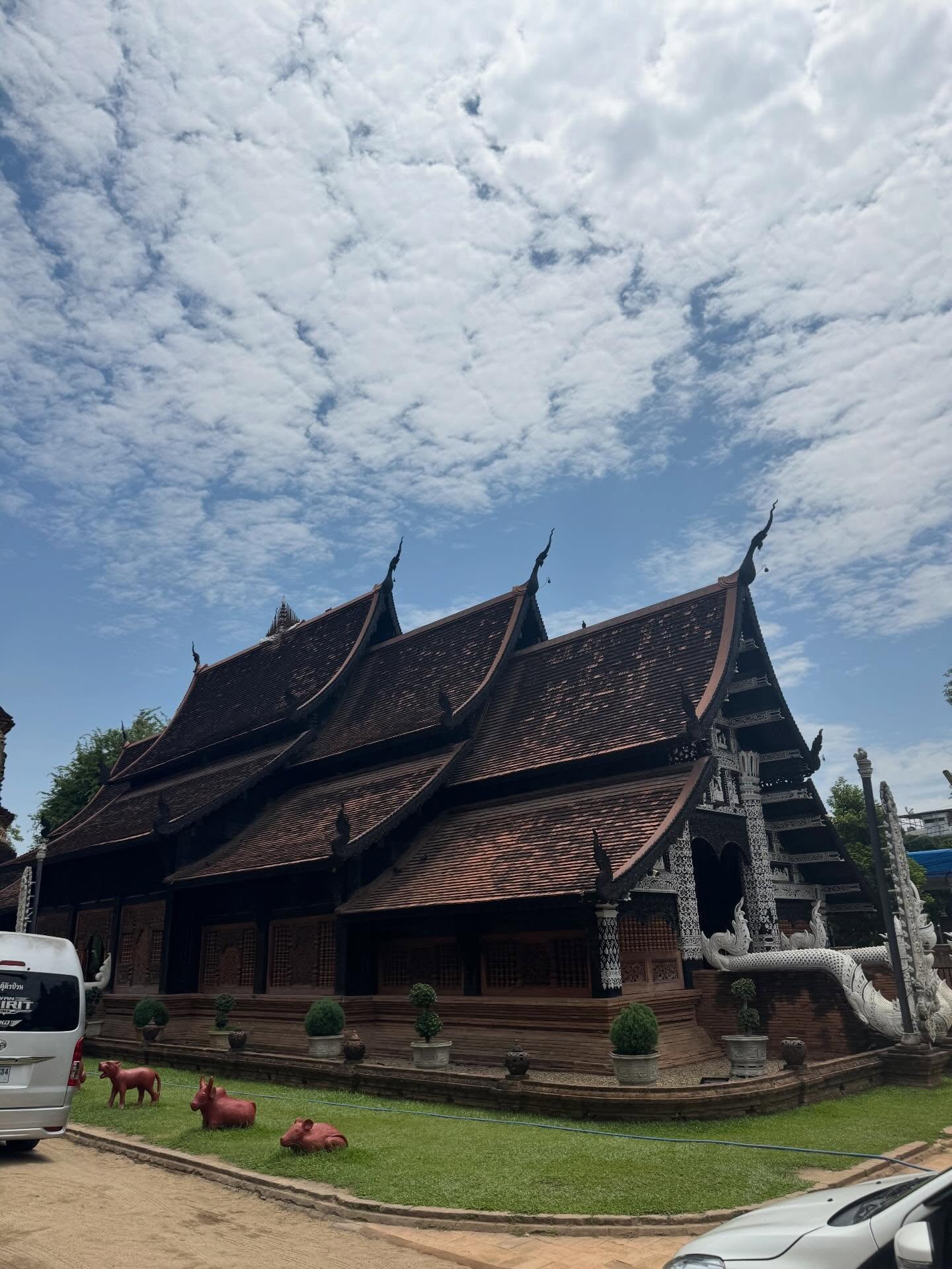 ตุ๊ก - ชนกวนันท์ รักชีพ