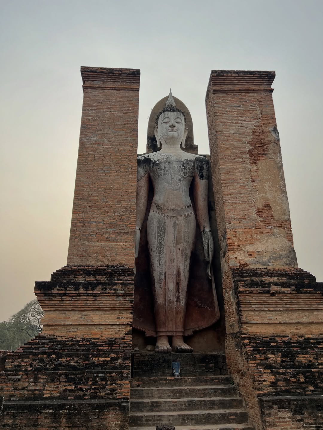 ดาต้า - ดรัลชรัส ศุขีวิริยะ