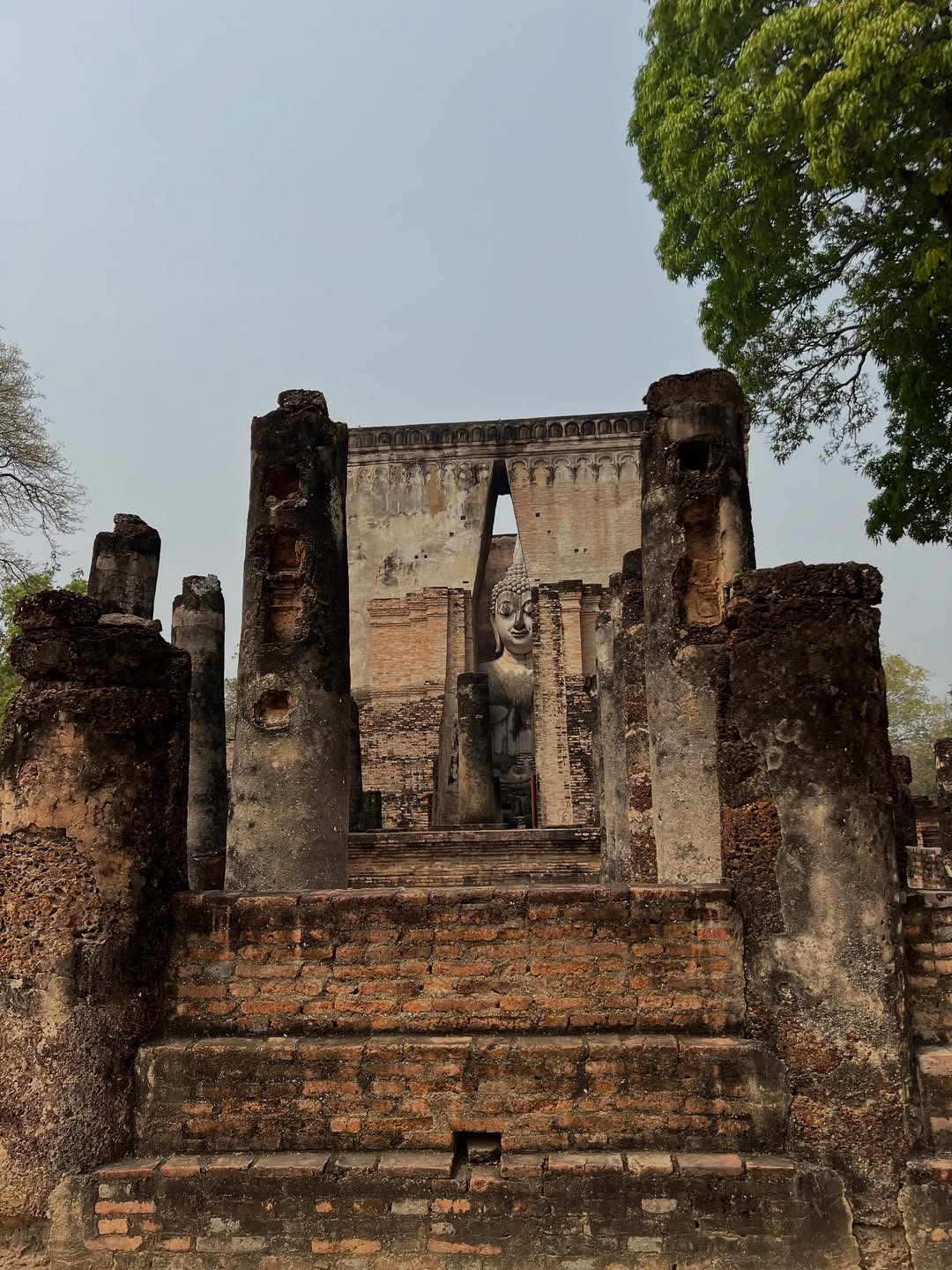 ดาต้า - ดรัลชรัส ศุขีวิริยะ