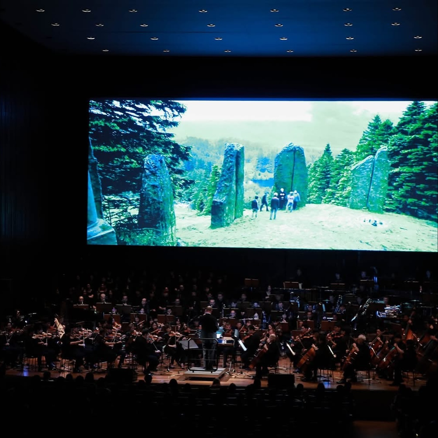 ดาต้า - ดรัลชรัส ศุขีวิริยะ