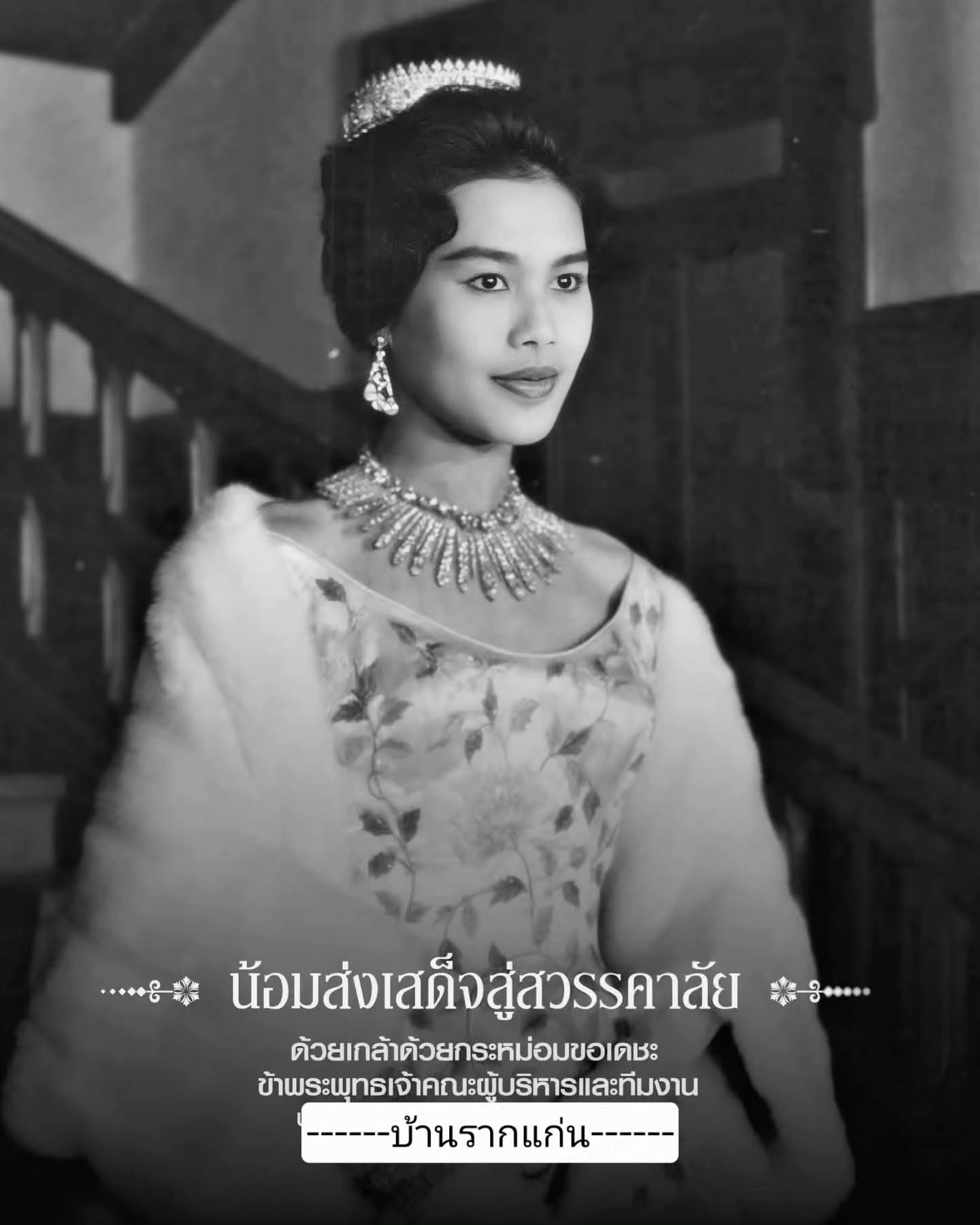 แคนดี้ รากแก่น