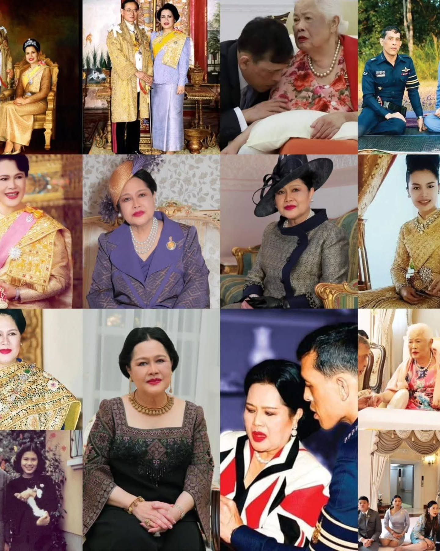แคนดี้ รากแก่น