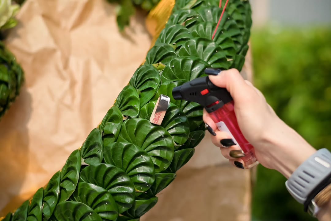 แคนดี้ รากแก่น